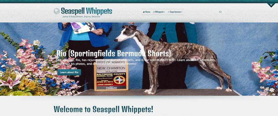 Seaspell Whippets